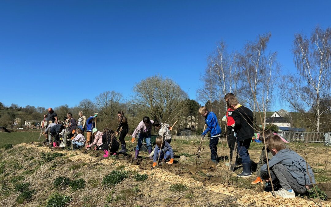 Projet Haie-lève : retour sur la saison de plantation 2024-2025