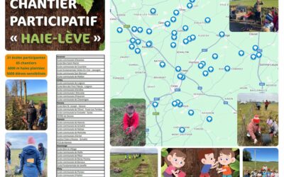 Du 24 novembre 2025 au 15 mars 2026, participez au projet Haie-lève !