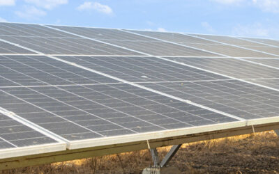 Améliorer la résilience des petites entreprises par l’efficacité énergétique et la production d’énergie renouvelable. Et pourquoi pas vous ?