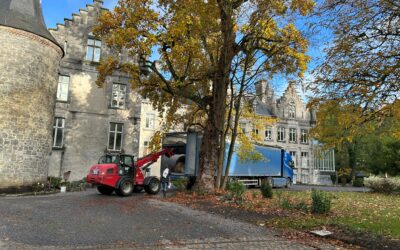 La laine de la tonte nomade part au lavage