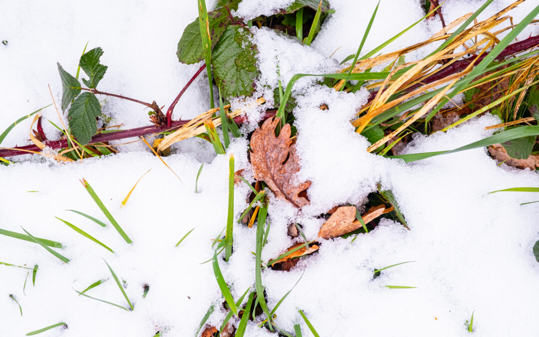 Une dynamique agricole relancée et tournée vers l’avenir