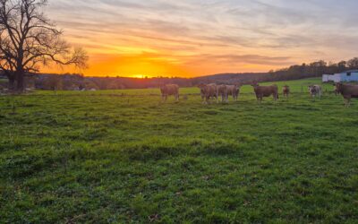 Apéro ruraux – Appel à participation