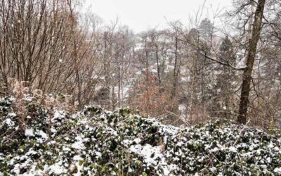 Paysages & Territoire : une dynamique en pleine évolution