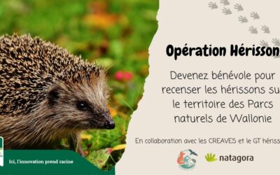 Opération hérisson