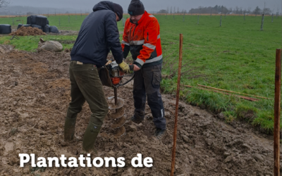 Plantations de haies fruitières