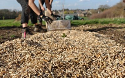 Plantations de haies fruitières à Ohey