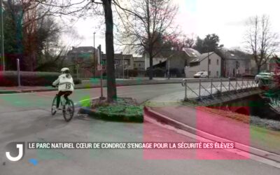 A vélo vers mon école – le brevet du cycliste : apprendre à rouler en autonomie