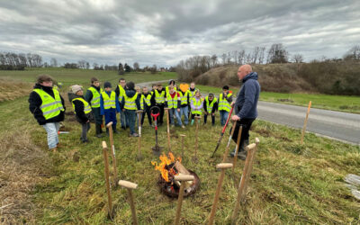 Projet Haie-lève : clap de fin de pour la saison de plantation 2025-2026