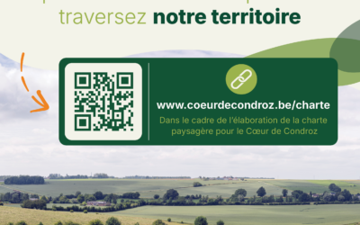 Le Condroz à travers vos émotions : partagez votre paysage coup de cœur !