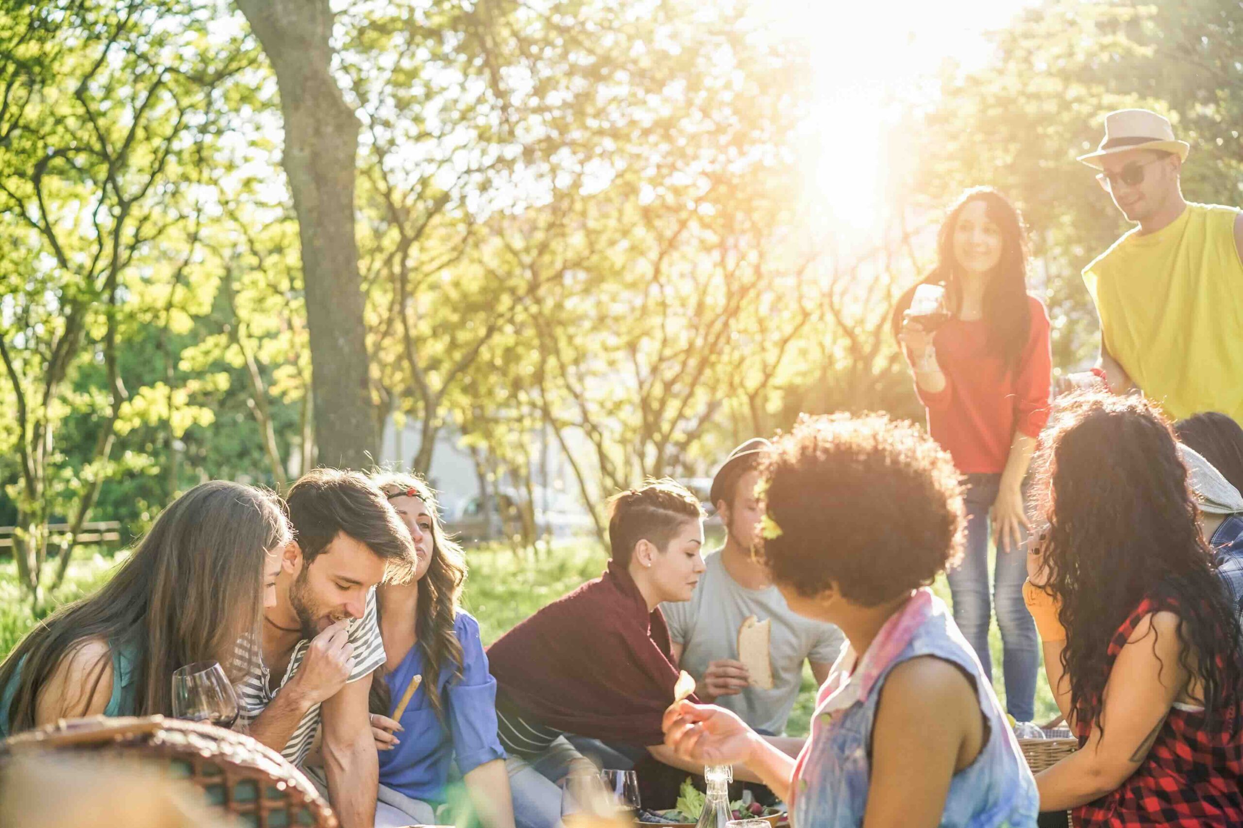 friends-gather-together-for-outdoor-picnic-2026-01-11-08-12-01-utc