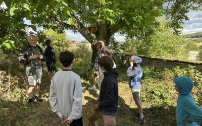 Projet Nichoirs – Restauration de vergers et renforcement de l’accueil de la petite faune 