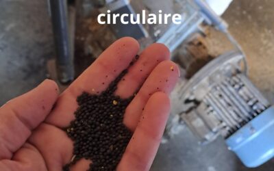 A la découverte d’Alvenat, quand savoir-faire rime avec économie circulaire