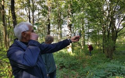 Forêt – Formation – Gestion de la lumière