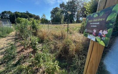 Projet Haie-lève : l&rsquo;entretien des haies