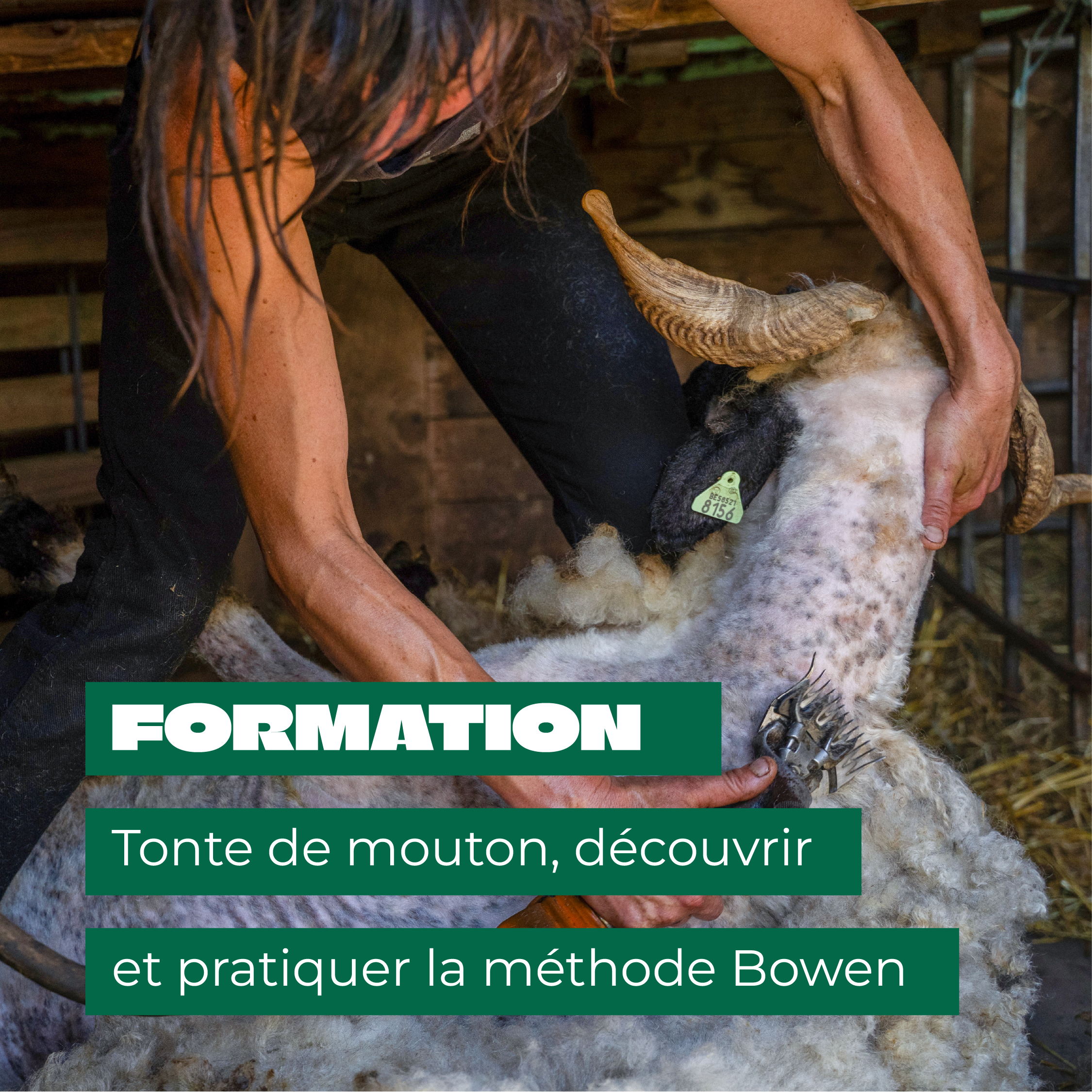 Vignette formation tonte