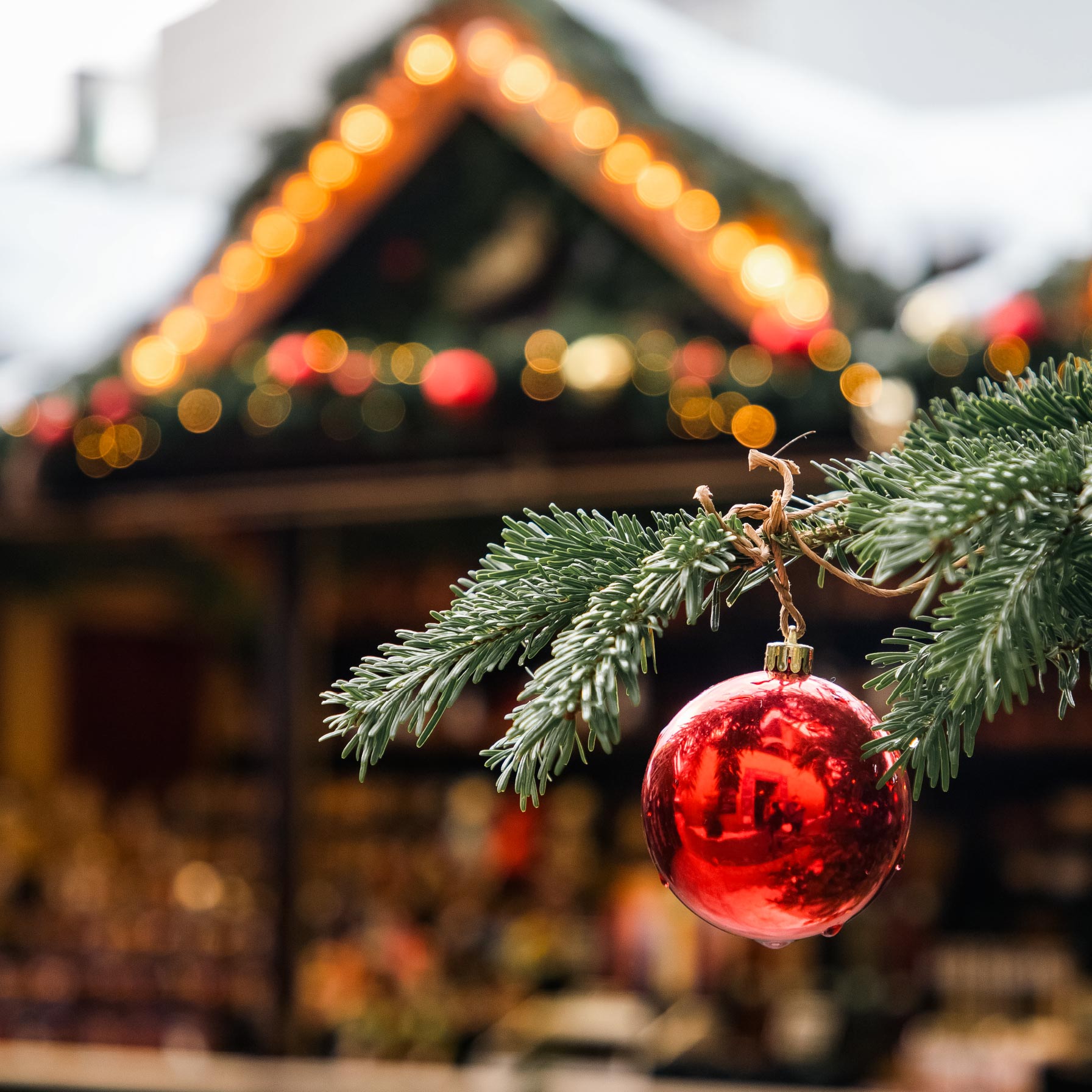 festive-red-bauble-on-christmas-tree-branch-2026-09-24-10-45-37-utc